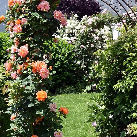 Apartmán Gaestehaus Koell